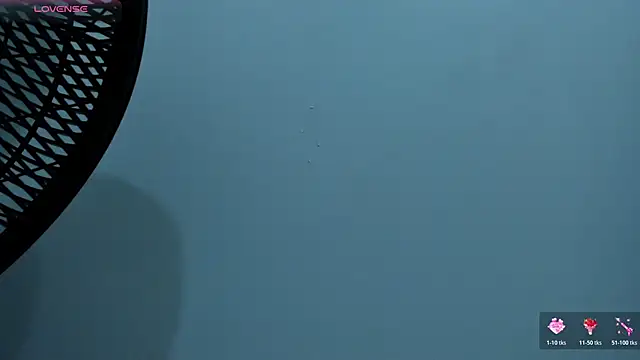 Ellen_Sweet_ webcam