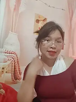 Cover-baa webcam