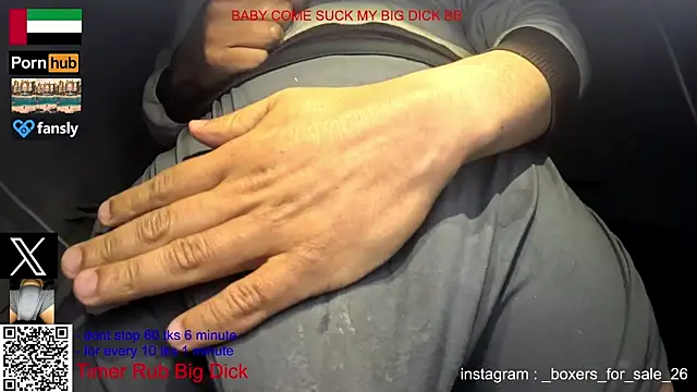 bfs26 webcam