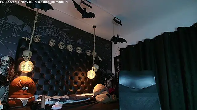 AlexHoe_ webcam