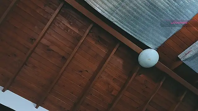 SilvaBranko webcam