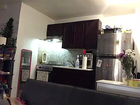 littyleesh1 webcam