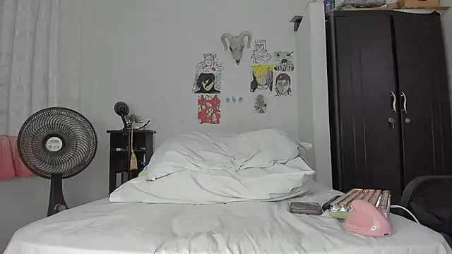 SonSett webcam