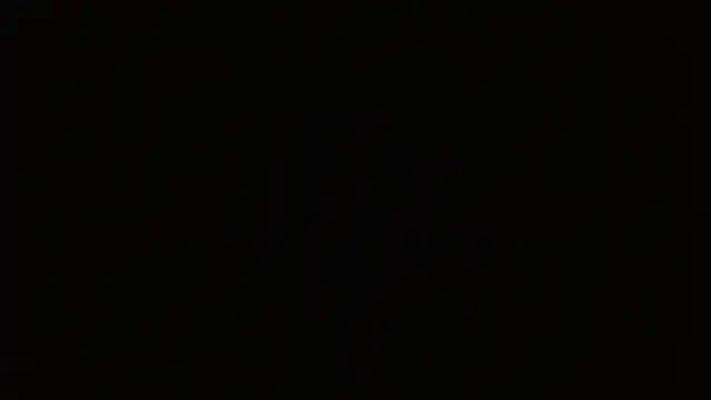 Pandora_9666 webcam