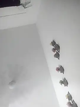 Wet_BunnyFun