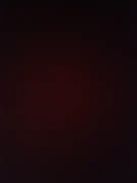 mavin_ webcam