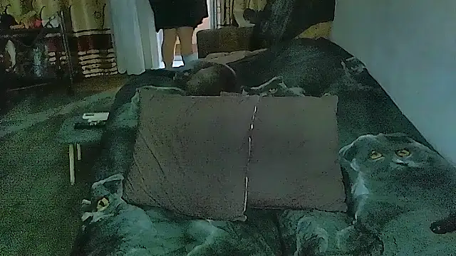 sex2 webcam