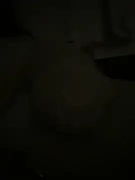 japosamel webcam