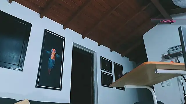 SilvaBranko webcam