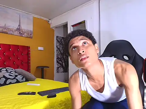 Xavier-Fox webcam