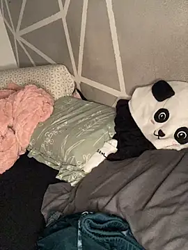 Piggiteablacktea webcam