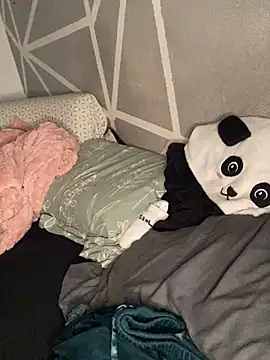 Piggiteablacktea webcam