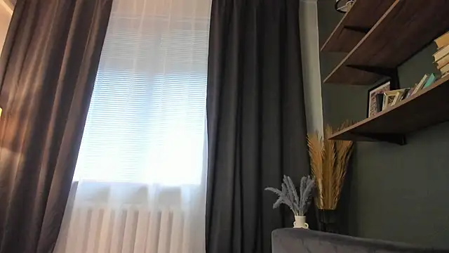 DelorisDetrich webcam