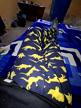 pollin_10 webcam