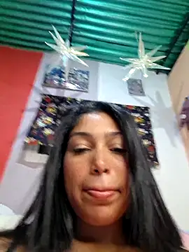 Putaalexa webcam
