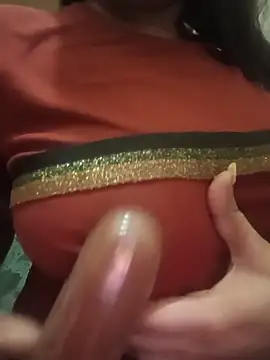 Hote_Model2424 webcam