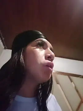 MeelFox webcam