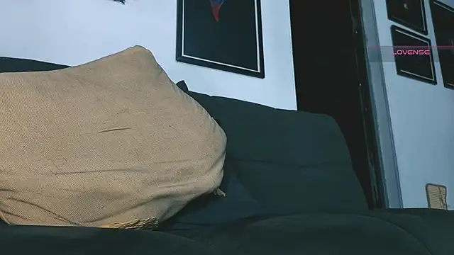 SilvaBranko webcam