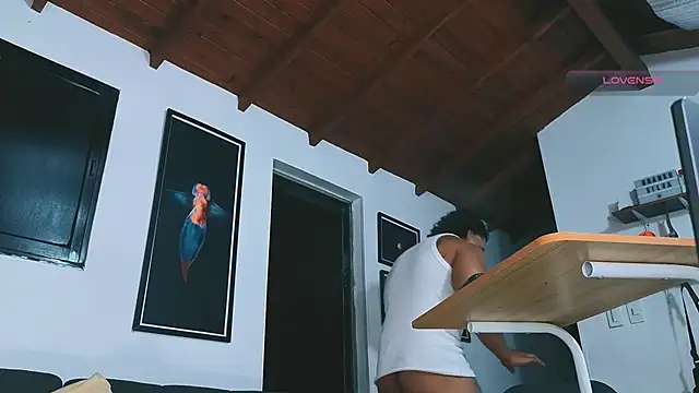SilvaBranko webcam