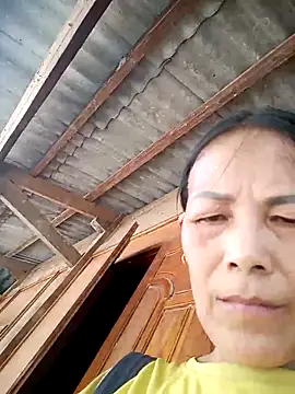 toyo_668 webcam