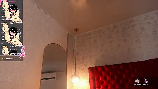 camii_raux webcam