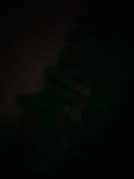Sasha-firee webcam