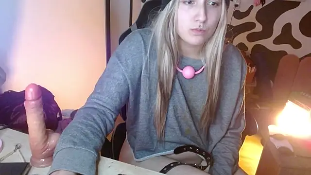hi_elora webcam