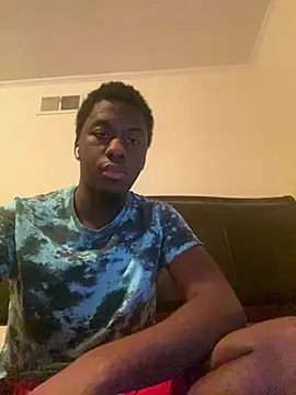 ThickDic28 webcam