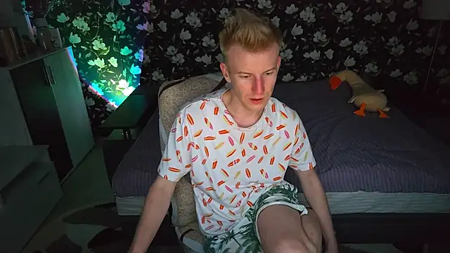 Vuitton webcam