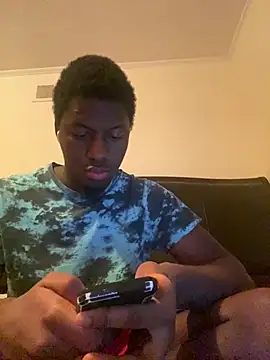 ThickDic28 webcam