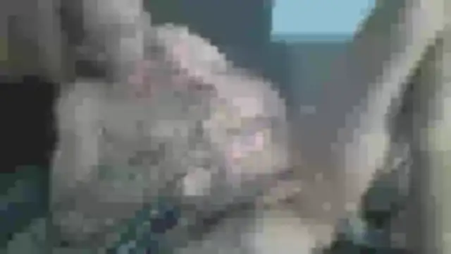 chceciedalsiebie webcam