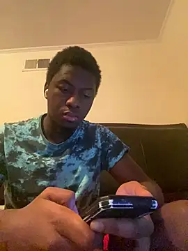 ThickDic28 webcam