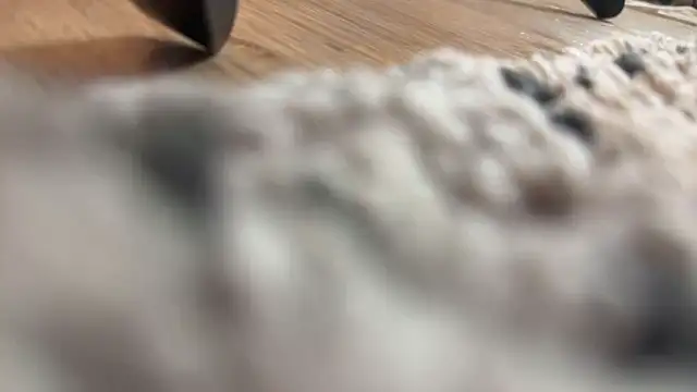 _nitro_emily_ webcam