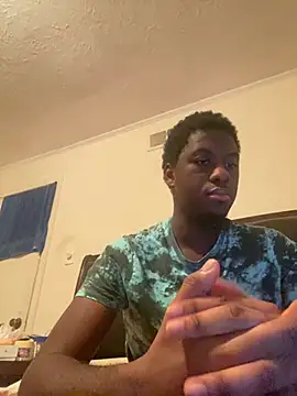 ThickDic28 webcam