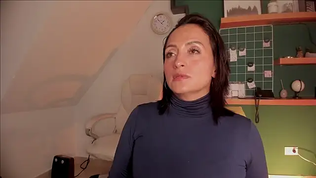 evazul webcam