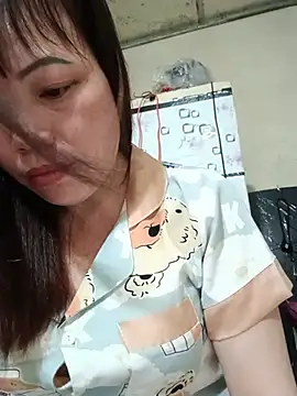 Sana-vn webcam