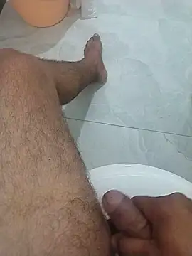 Desiandaj webcam