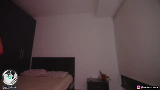 _curiouskitten_
