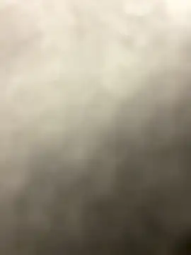 MerlinDave webcam
