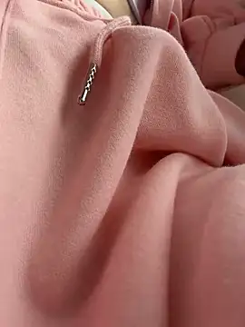 hiding-mila webcam