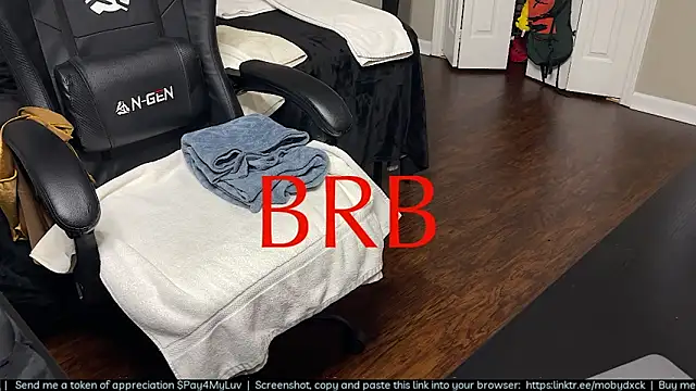 MobyDxck webcam