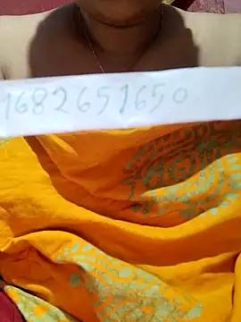 Gulapi_N webcam