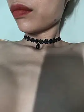 Pu688 webcam