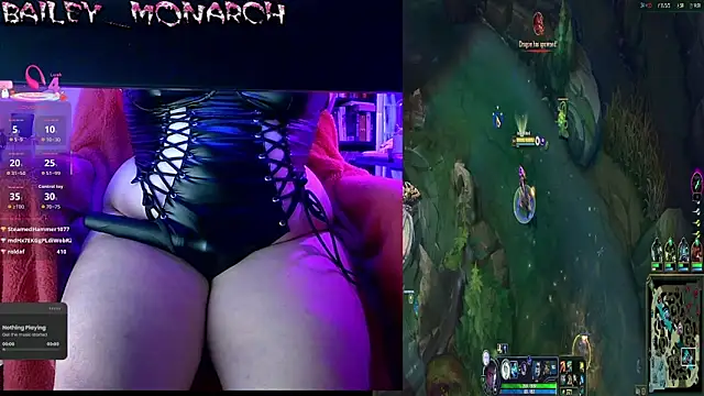baileymonarch webcam