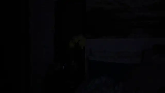 Aurora_Real webcam