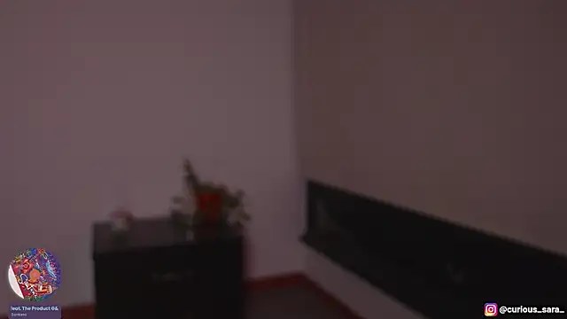 _curiouskitten_ webcam