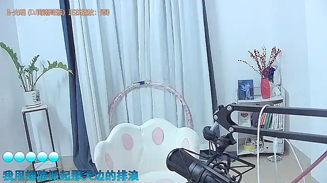 Amity-ox webcam