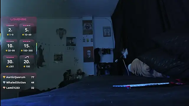 kattx_ webcam