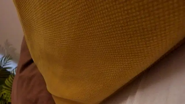 VickiRoom webcam