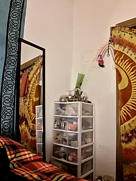 Cchorreando webcam